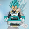 Ozne-Gaming