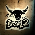 BrBulls02