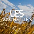 Les Vachettes