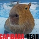 Capibara Yeah