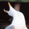 M&ouml;wen Lord