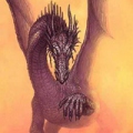 DarkDragon