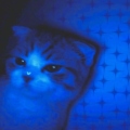 Toshi_005