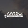 Awokz