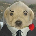 NathanBR