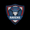 Ravens1008