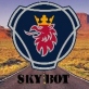 Sky Bot