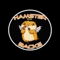 HamsterbackeLive Official IG p