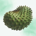 Guanabana