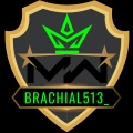 Brachial513_