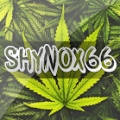 Shynox66