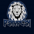 P3RYPL3X