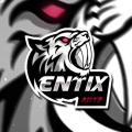 EntixArtz