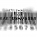 KaktusWasser