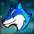 ninoush57