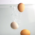 SoakingEggs