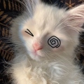 smol