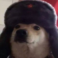 DOGEŁ