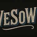 VeSoW