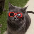 Seyo