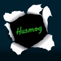 Husmog