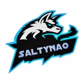 SaltyNao