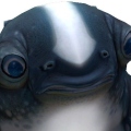 SestoYT