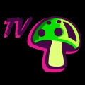 Tv_mushroom