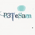 B3TeSam