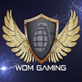 womgaming2k16