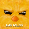 BabyPollito