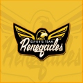 Team Renegades
