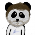 Javer Panda