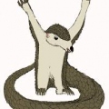 Le Pangolin