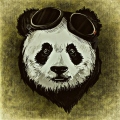 Pandax