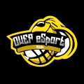 Owep eSport