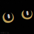 Aerouma_