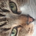 RyZu