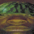 Jedynyy