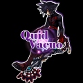 QuidVacuo