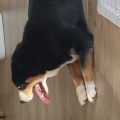 Chrufix