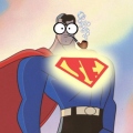 Super Fernand