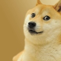 JustDoge