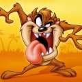 Taz