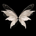 Olvcix_