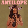 Antilope