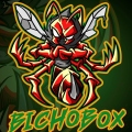 BichoboX