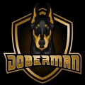 doberman6