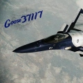 Goose37117