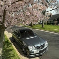 liannnn531